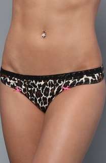   Stretch Lo Rise Lace Thong in Cheetah,Intimates for Women Clothing