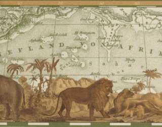 SAFARI MAP GIRAFFE ELEPHANT LIONS PALM TREES OFFICE or DEN Wallpaper 