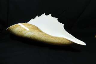 Murano Art Glass Brown Conch Shell  