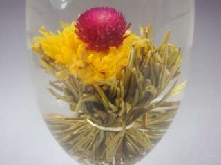 Glass Teapot + Teacups + 12 Blooming Flowering Tea C  