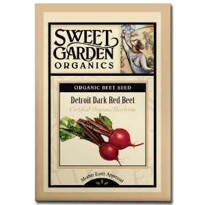  Detroit Dark Red Beet   Certified Organic Heirloom Seeds 