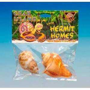 Hermit Crab Decorative Home 2pk 