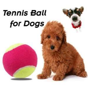  Tennis Ball for Dogs 4 Inch