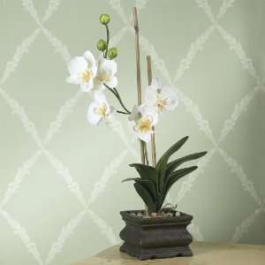  Faux White Orchid Terracotta Pot Floral Arrangement
