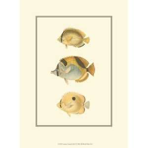  Antique Tropical Fish I by Vision studio 6.75X9.75. Art 